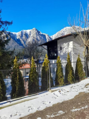 Vila Mura Buşteni